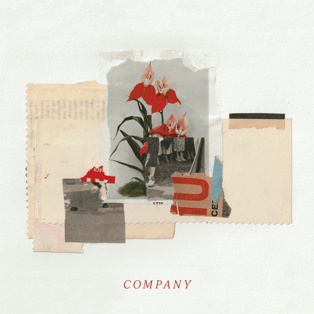 Company by Richard Walters cover